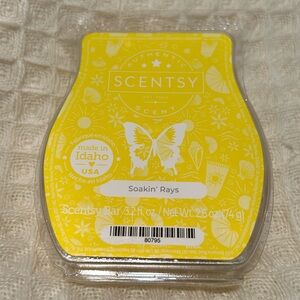Soakin’ Rays Scentsy Bar